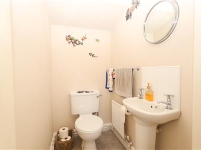 Picture 20